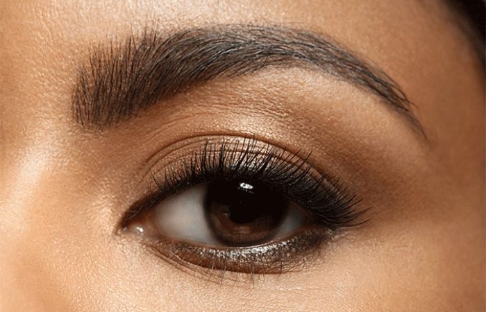 Function of eyelashes in the human body.